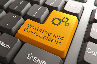 Training & Development